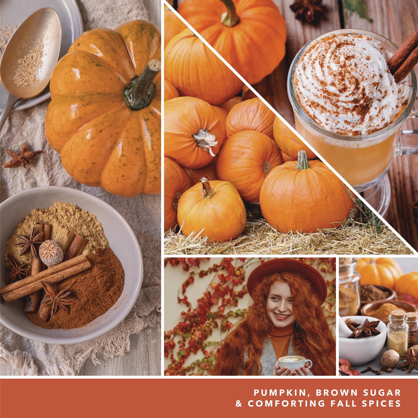 Yankee Candle Spiced Pumpkin Scented, Classic 22oz Large Jar Single Wick, Over 110 Hours of Burn Time, Perfect Accent for Fall Decor & Gifting