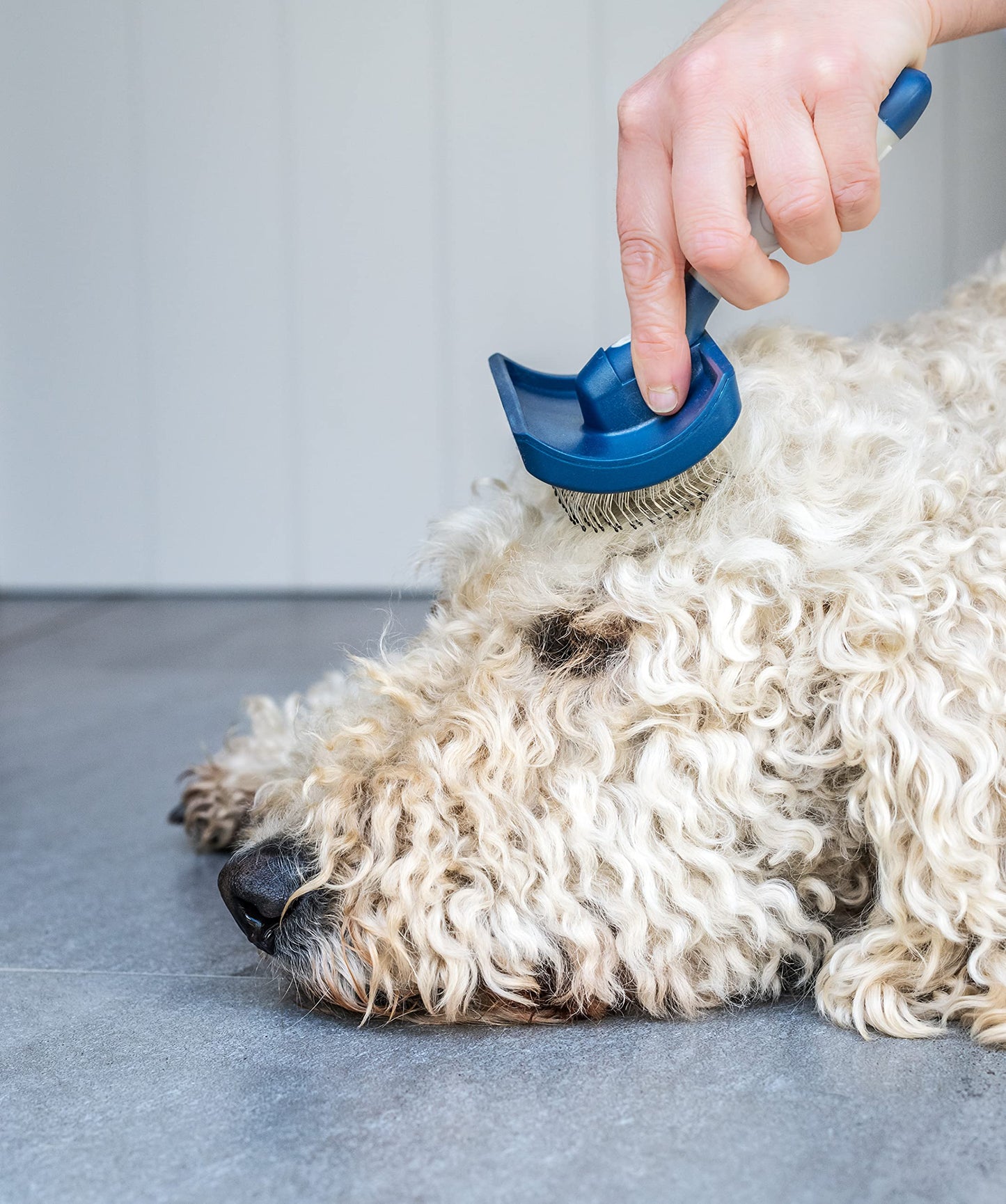 Mikki Dog Puppy Stainless Steel Comb and Hard Pin Slicker Brush, for Cockapoos, Labradoodles, Cavapoos and Golden Doodles - Starter Set 2pcs, Blue, Grey,Small