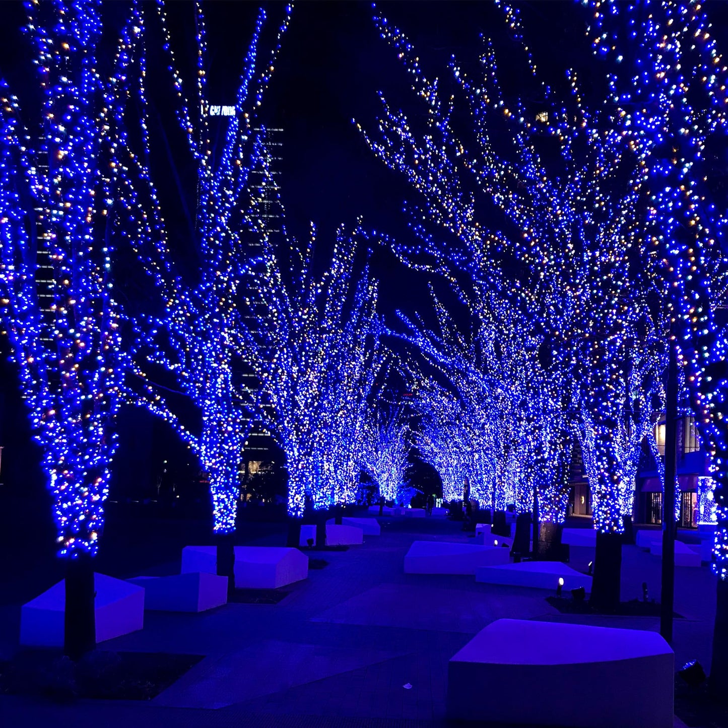 Selarlyt 2-Pack 200 LED Solar Fairy Lights Outdoor, Upgraded Oversize Lamp Beads & Super Bright Solar String Lights Outoor, 8 Modes Solar Lights for Garden Patio Decorations（Blue&White）