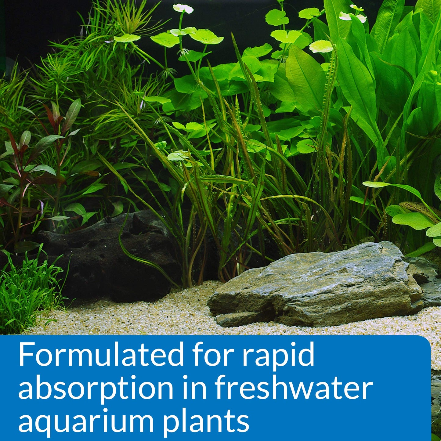 API LEAF ZONE Freshwater Aquarium Plant Fertilizer 473 ml Bottle