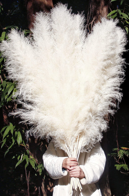 Bannifll 46 Inch 10 Stems White Pampas Grass Decor Tall, Dried Plants, Natural Dried Flowers for Wedding, Natural Home Decor, Wall Grass, Glam Decor