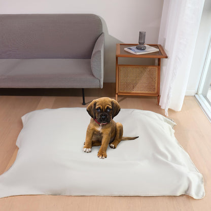 CAI TENG Fleece Throw Blankets 6 Pack Bulk Lightweight Warm Soft 50 x 60 in Kids Blanket Picnic Cozy Fleece Fabric Microfiber Small Blanket for Bed Sofa Office Travel Beige