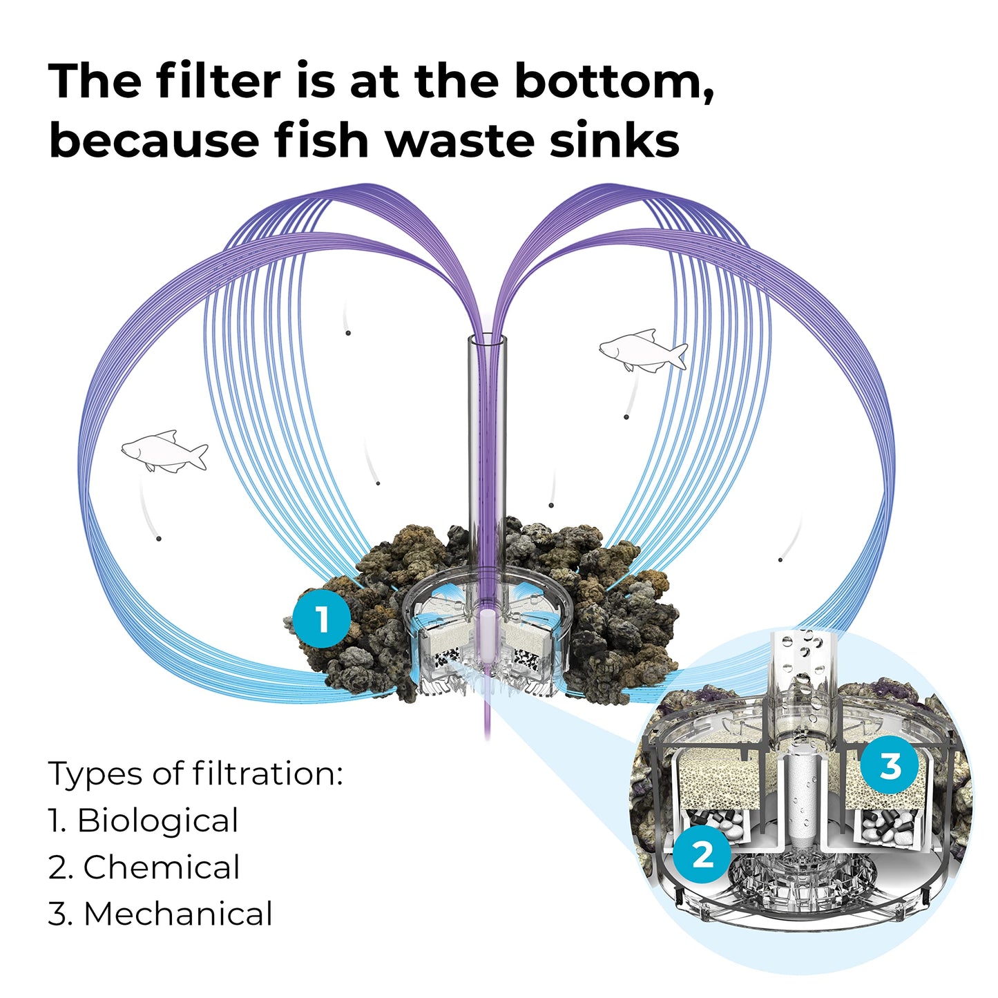 biOrb Classic 15 Acrylic 4-Gallon Aquarium with White LED Lights Modern Compact Tank for Tabletop or Desktop Display, Black-Trimmed Tank