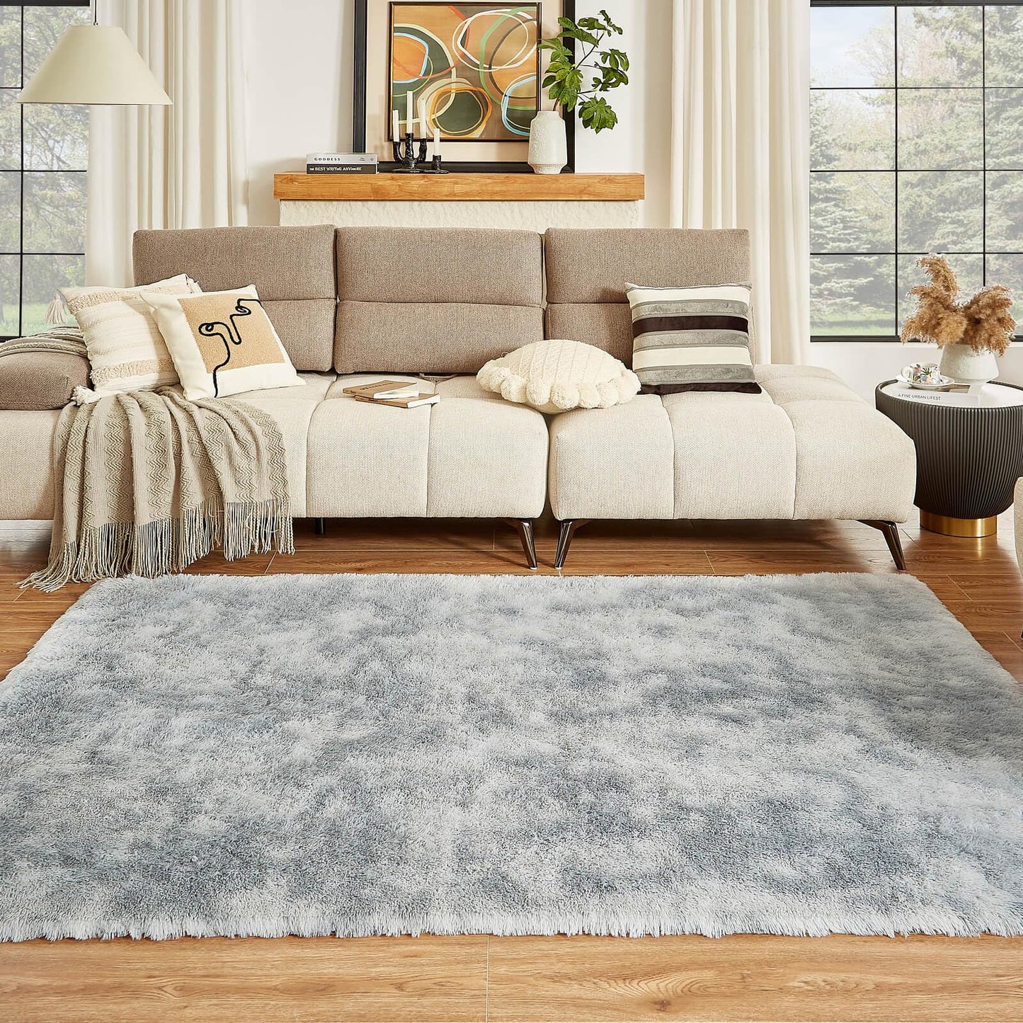 Floralux Rugs for Living Room, 6x9 Large Shag Area Rug, Tie-Dyed Light Grey Soft Fluffy Carpets for Bedroom