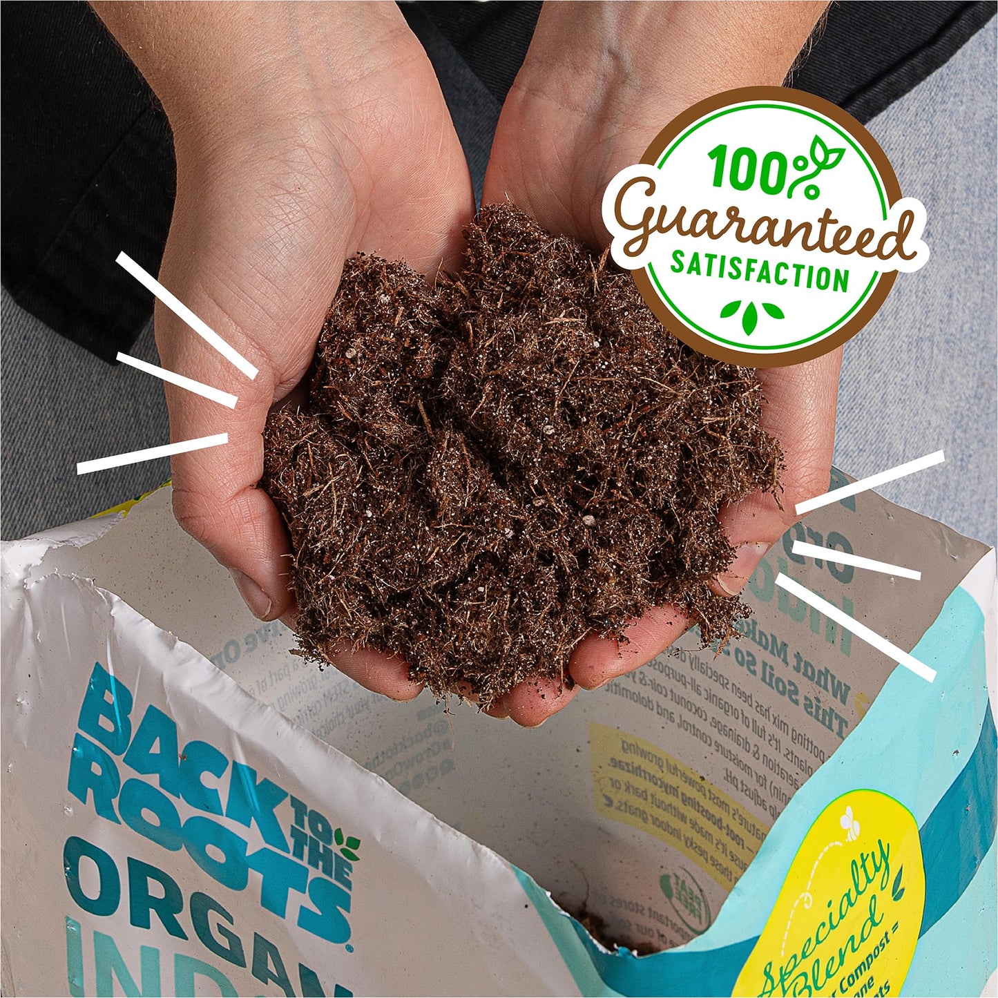 Back to the Roots 100% Organic Indoor Potting Mix (6 Quart), Promotes Healthy Houseplant Growth, Made in The USA