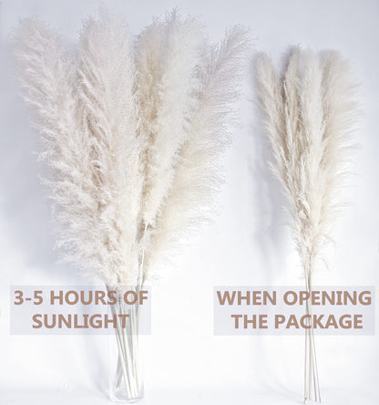 Bannifll 46 Inch 10 Stems White Pampas Grass Decor Tall, Dried Plants, Natural Dried Flowers for Wedding, Natural Home Decor, Wall Grass, Glam Decor