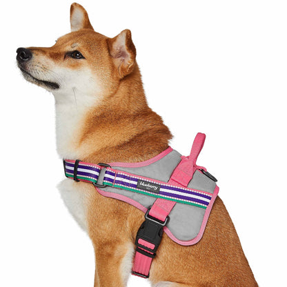 Blueberry Pet Soft 3M Reflective Dog Harness Vest | Mesh Padded No-Pull Harness with Back Clips | Multicolor Stripe in Pink, Emerald and Orchid| Adjustable for Large Dogs