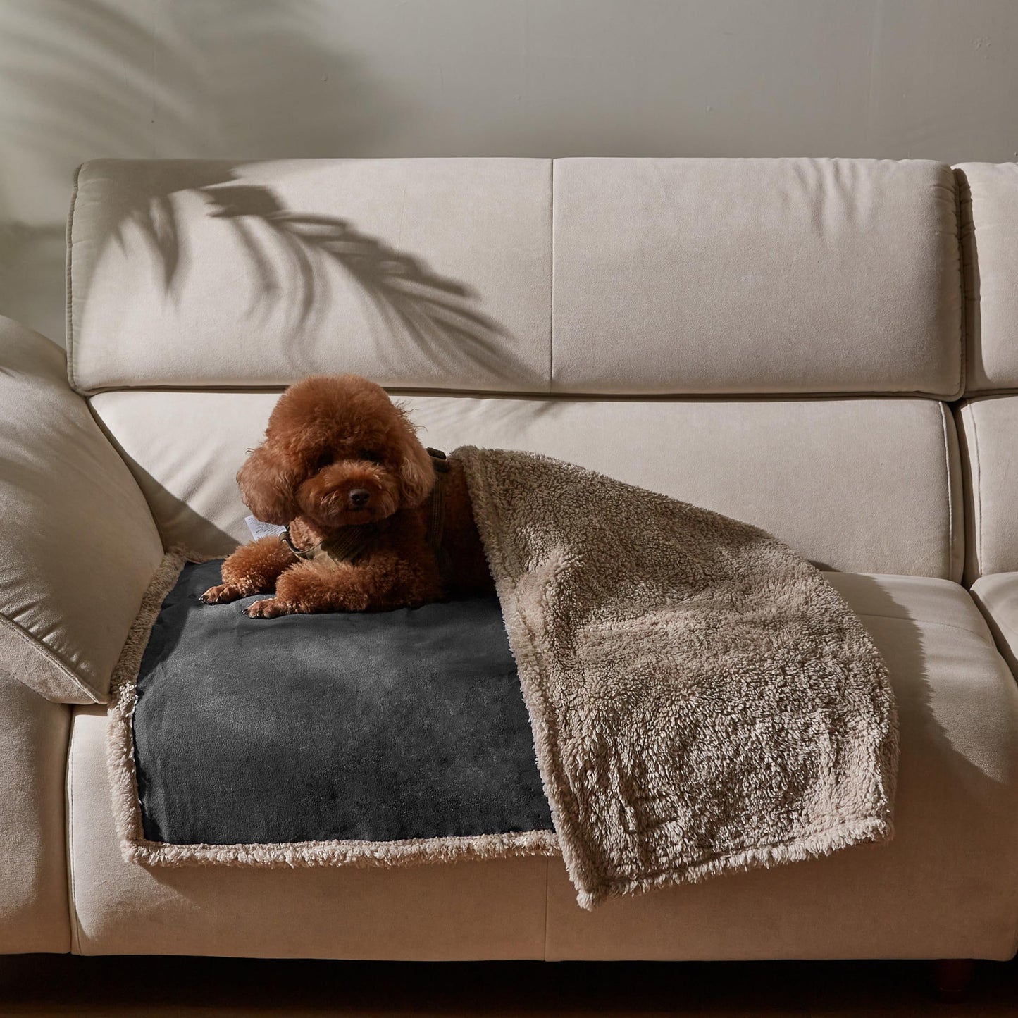 Pawsee Waterproof Dog Blanket Washable, Sherpa Fleece Pet Blanket for Puppies Cats Dogs, Reversible Waterproof Protector Cover for Dog Sofa Bed, 125 x 75 cm, Gray/Tuape