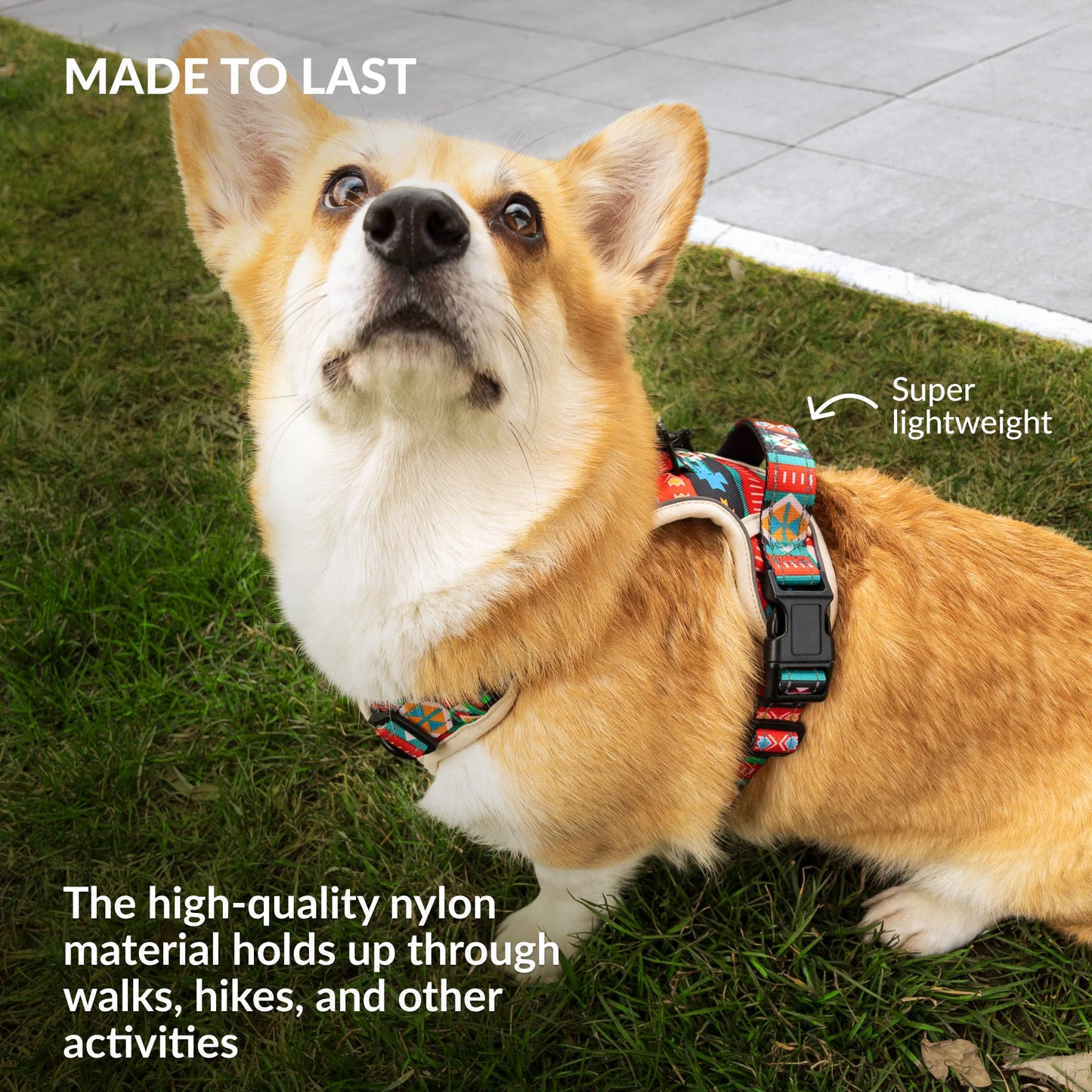 CollarDirect No Pull Reflective Dog Harness with Handle and Front Clip, Adjustible Soft Padded Vest for Small to Large Dogs Training and Walk (Size L, Pattern PT2)