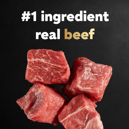 Cesar Small Breed Dry Dog Food Filet Mignon Flavor and Spring Vegetables Garnish, 12 lb. Bag