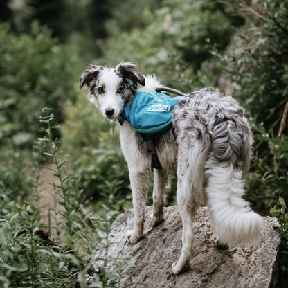 Outward Hound Kyjen 22005 DayPak Dog Backpack Adjustable Saddlebag Style Dog Accessory, Large, Blue