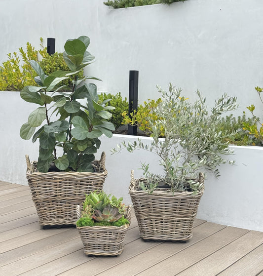 Kouboo Rectangular Rattan Planter Basket 1.25 Gallon Capacity Plastic Pot Liner with Drain Holes Included No Saucer Indoor and Outdoor Use