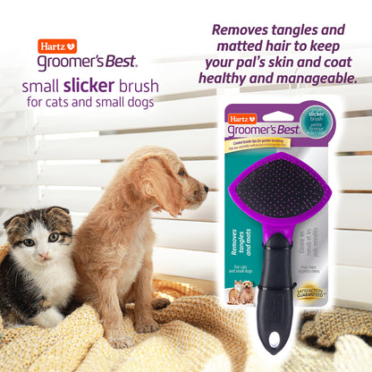 Hartz Groomer's Best Small Slicker Brush for Cats and Small Dogs, Black/Violet, 1 Count