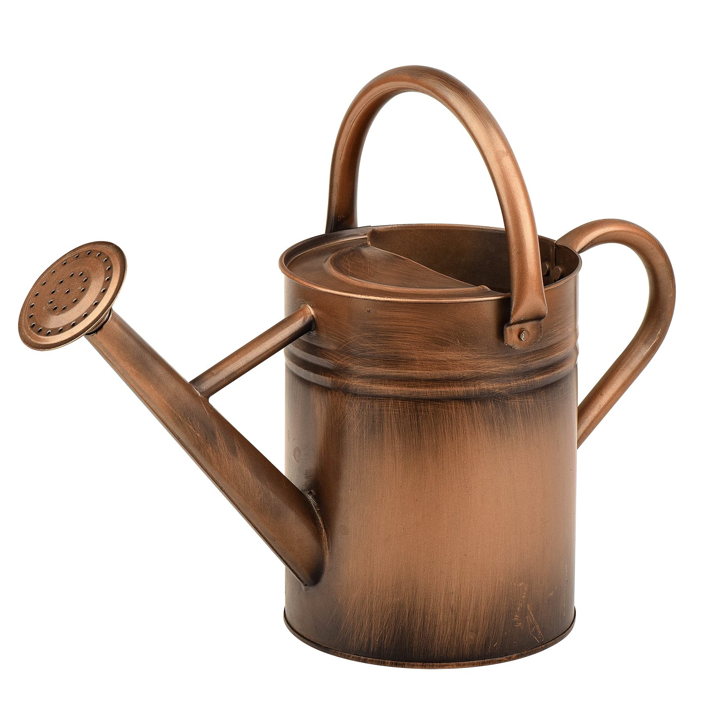 Homarden 1 Gallon Watering Can - Decorative Garden Watering Can for Indoor and Outdoor Plants - Removable Spout - Dual Handles for Easy Pour - Plant Waterer for Flowers and Bonsai Trees - Copper
