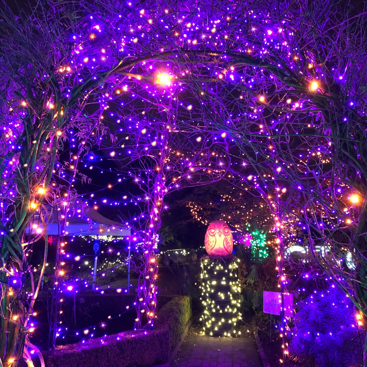 200LED Solar Halloween Lights，78FT Orange& Purple String Lights，Solar Fairy Lights with 8 Modes， Halloween Lights Outdoor Waterproof for Bedroom Patio Garden Party Yard Decoration