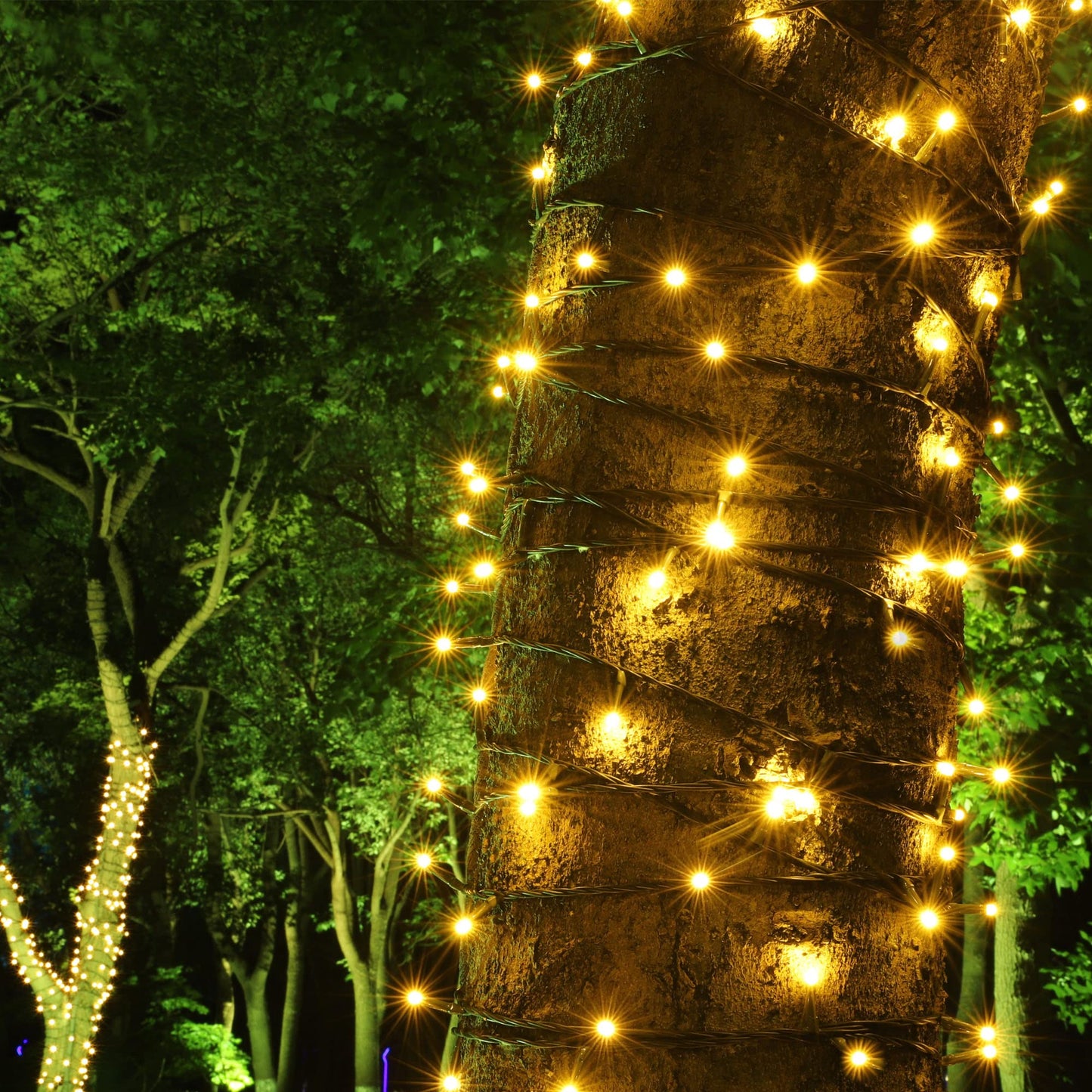 PMS 100-1000 LED Christmas Lights, Low Voltage Fairy String Lights with 8 Modes, Ideal for Xmax Tree, Garden, Home, Party, Halloween Festival Deco (Warm White, 300 LEDs)