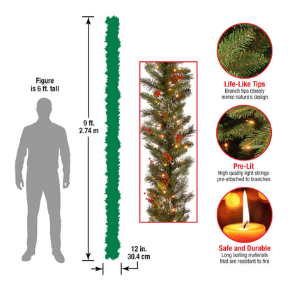 National Tree Company 9 ft Pre-Lit Wintry Pine Flocked Artificial Christmas Garland, Christmas Decoration with Pinecones, Red Berries, 100 Clear Lights, 184 Tips, Green