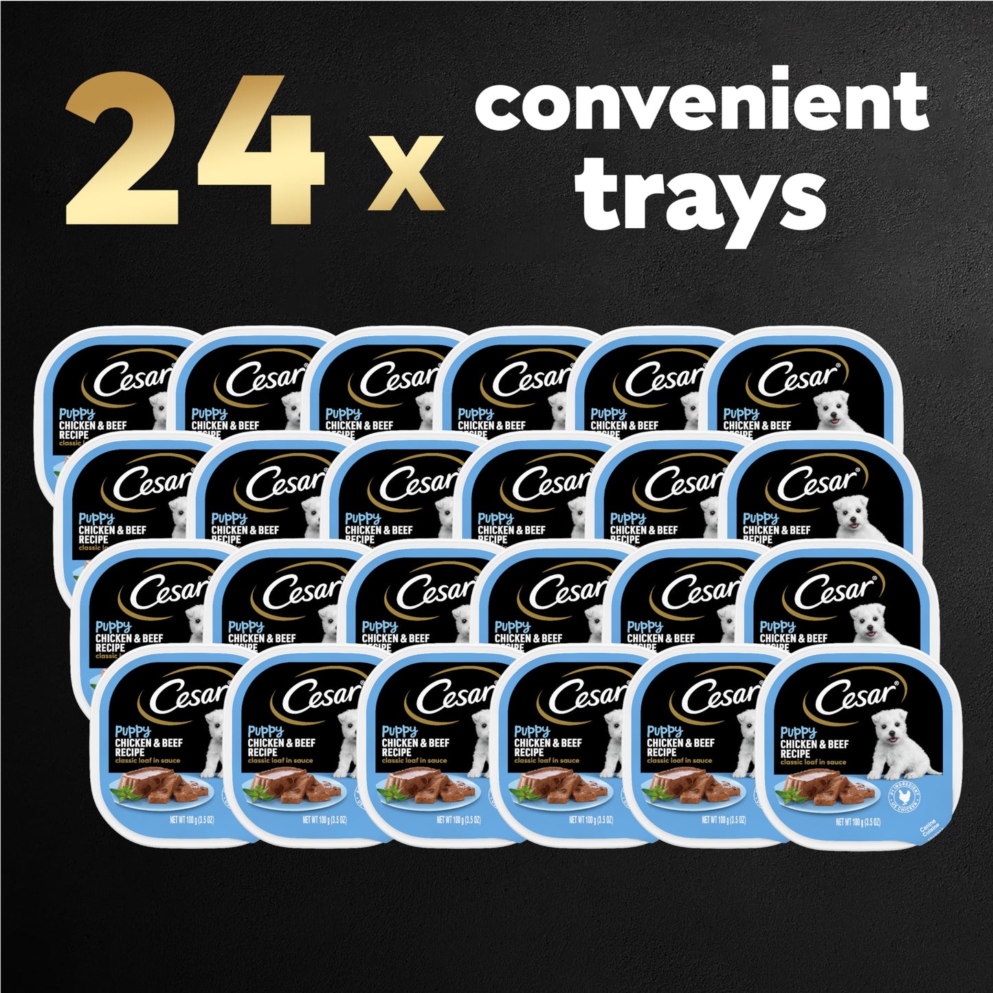 Cesar Puppy Wet Dog Food Classic Loaf in Sauce Chicken & Beef Recipe, 3.5 oz. Easy Peel Trays (24 Count, Pack of 1)