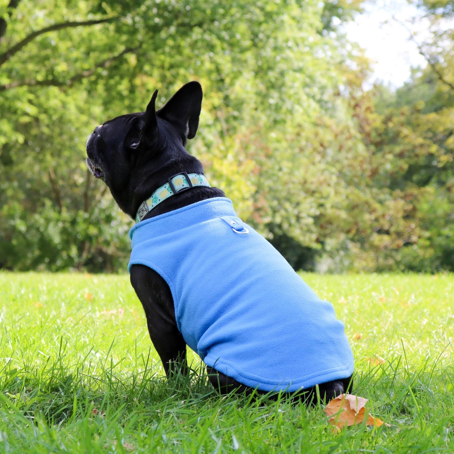 JACKO & CO - Fleece Vest Sweater with Leash Ring - Soft Lightweight Breathable for Puppies Small Medium Dogs, Kitten, Cats, Chihuahua - Warm for Fall/Autumn/Winter (Blue, XL (17-25lbs))