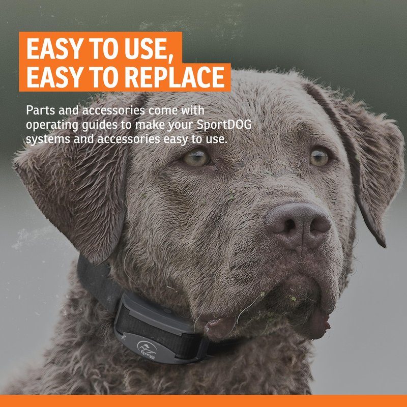 SportDOG Brand Long Contact Points – 5/8 Inch Replacement Probes E-Collars - Longer Length for Thick Coats