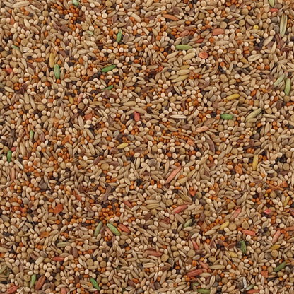 Living World Premium Mix For Budgies, 908 g (2 lb)