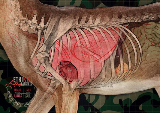 Deer Target 2-Sided Paper Range Targets (5pack) 18" x 26" for Archery & Rifle Hunters | Realistic Educational Anatomy Illustration by EthiKill…