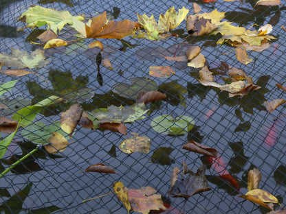 Blagdon 1022378 Clearview Pond Cover Netting, Strong Double Weave, Black, Fine, with 6 Fixing Pegs, Net Size 3m x 2m (10’ x 6’ 6”), Protects Pond