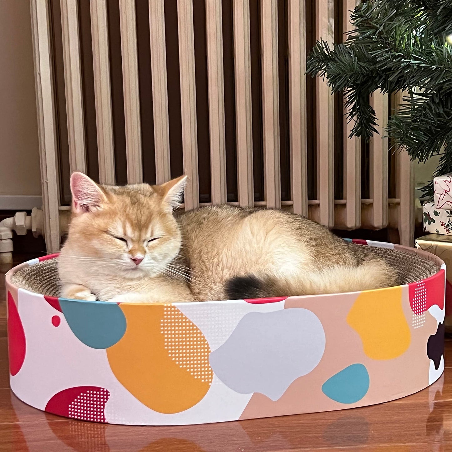 BobbyPet Cat Scratcher Lounge Bed - Lounge Couch for Indoor Cats Oval Shape 17"x13" Long Lasting Furniture