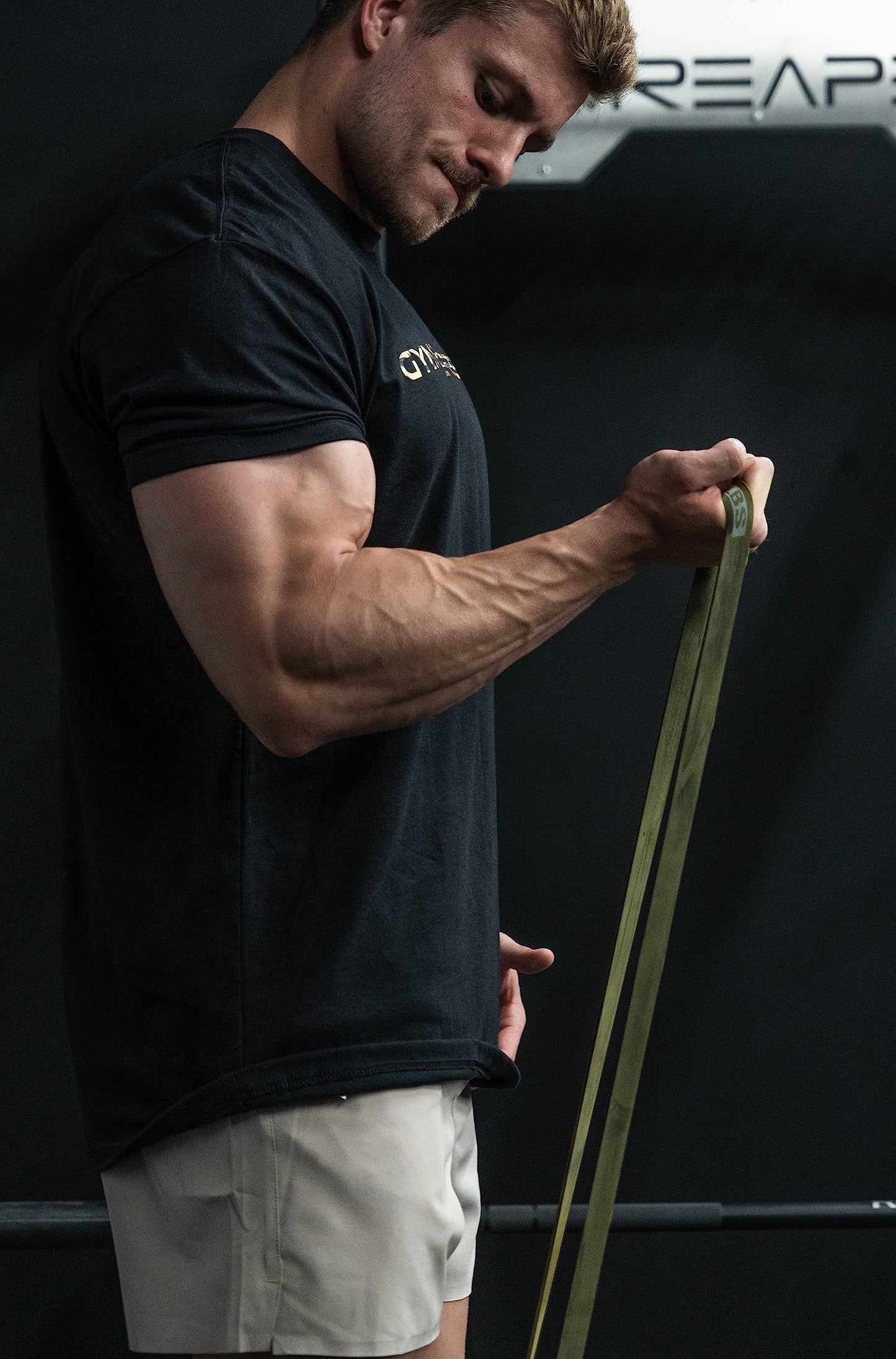 Gymreapers Pull up Resistance Bands for Weight Lifting, Pull Ups - Assistance Bands for Powerlifting, Stretching, WOD, Strength Training - for Men & Women (5 Bands - Military Set)