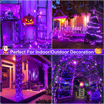 Nielfoi Purple Halloween Lights Outdoor, 100FT 300 LED Halloween String Lights with 8 Modes Waterproof, Plug in Green Wire Twinkle Tree Light for Indoor House Patio Garden Party Decorations