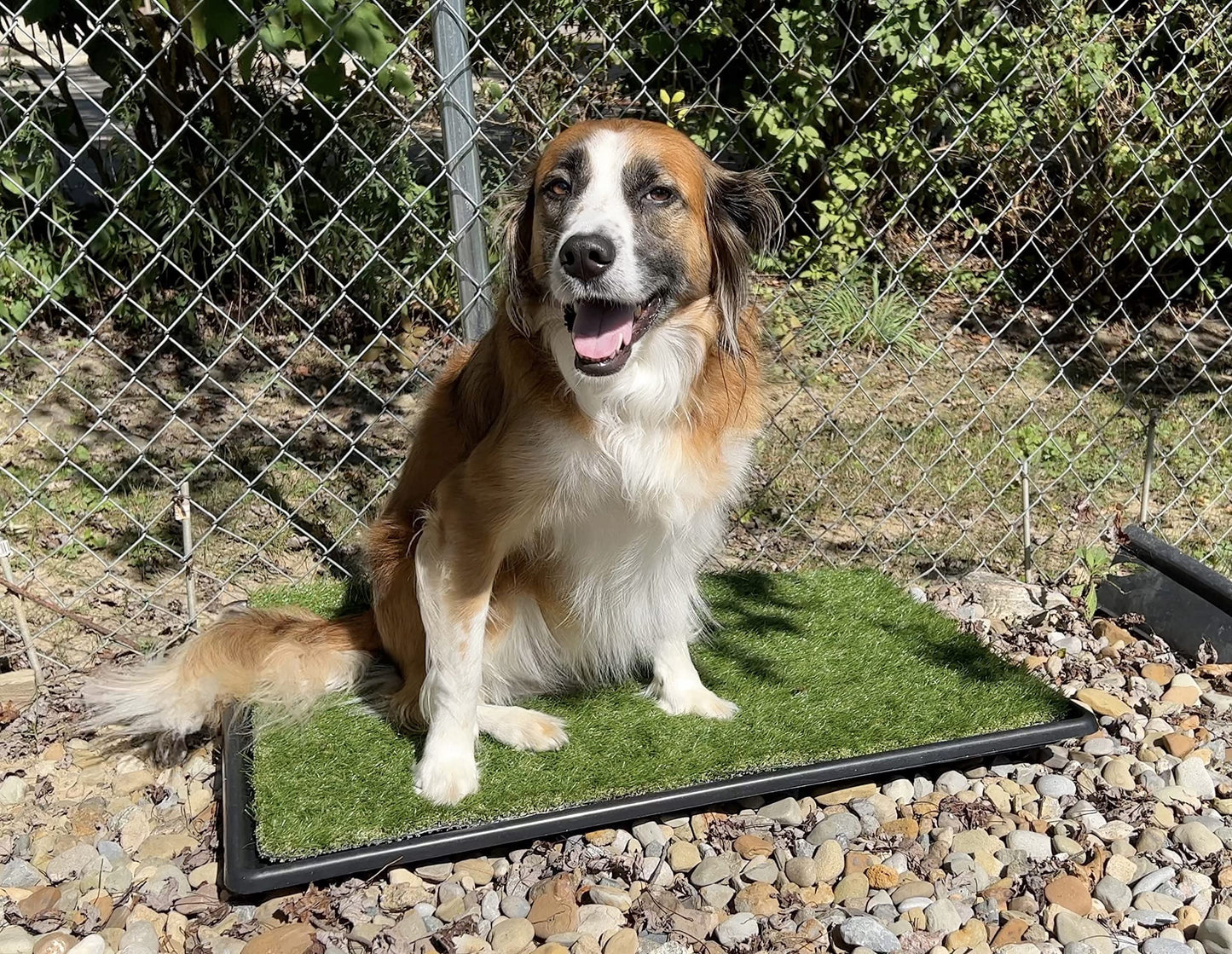 PICK FOR LIFE Dog Grass Toilet, Large size 51 x 63.5 cm, Indoor Outdoor Dog Potty Systems, Portable Toilet with Fake Grass and Tray, Reusable Trainer Tray for Puppy Training