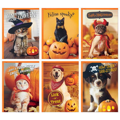 Hallmark Halloween Cards Assortment, Pet Puns (48 Cards with Envelopes)