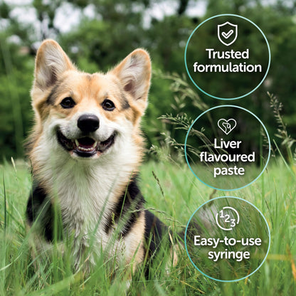 Protexin Veterinary Pro-Kolin Advanced for Dogs Advanced for Dogs, 60 ml