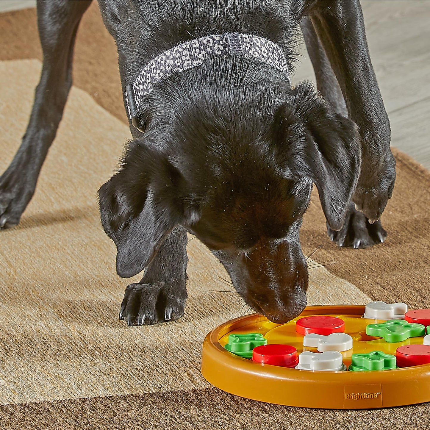 Brightkins Pizza Party! Treat Puzzle - Dog Enrichment Toys for Mental Stimulation, Interactive Gifts for Puppies