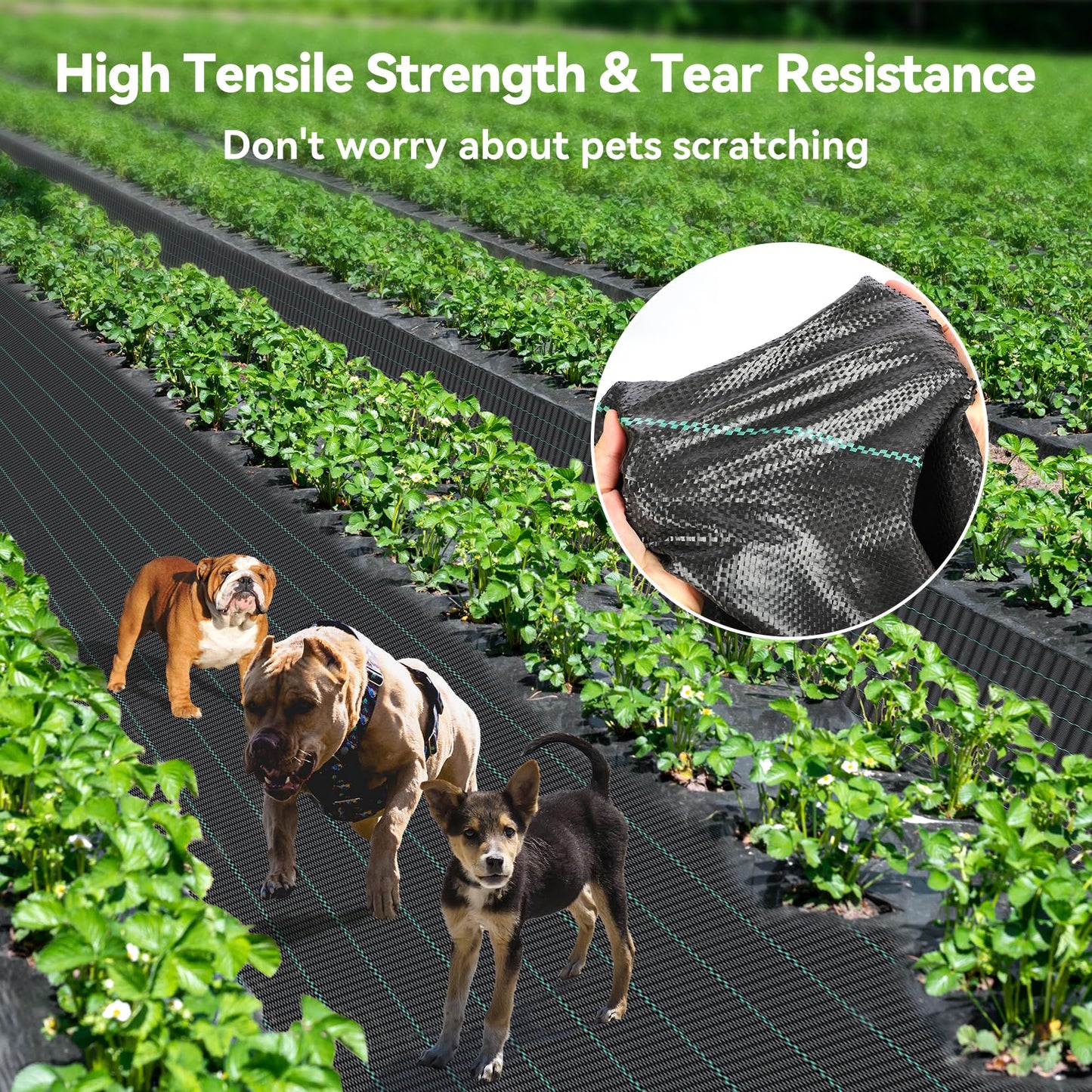 iropro 3m x 10m Heavy Duty Weed Control Membrane Garden Weed Barrier Fabric for Landscaping Driveway Gravel Artificial Grass Lawn Underlay Black Woven Roll Ground Cover