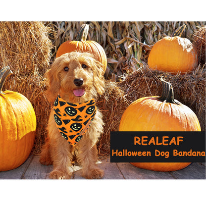 Realeaf Halloween Dog Bandanas 2 Pack, Pumpkin and Spider Web Bibs, Triangle Reversible Fall Pet Scarf, Premium Durable Fabric, Adjustable Fit (Small)