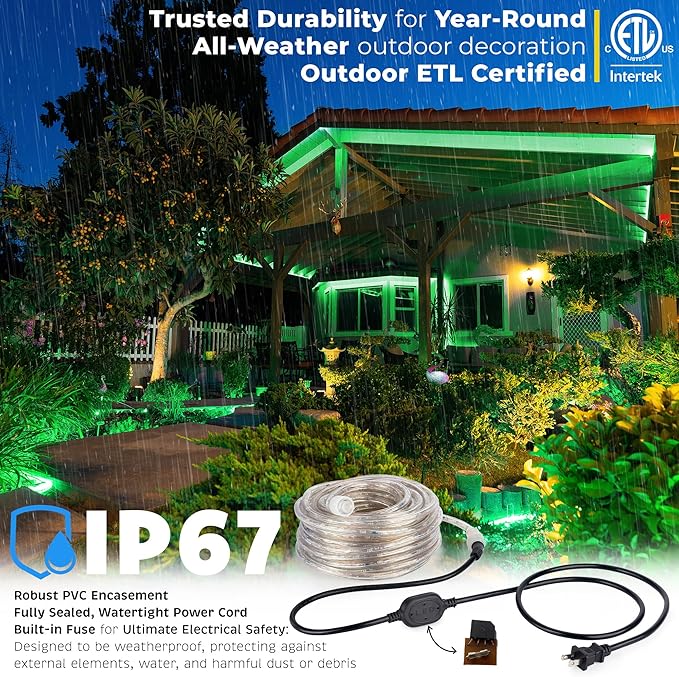 WYZworks 1116LEDs 100ft LED Outside Rope Lights, Outdoor ETL Certified Waterproof Permanent 360 Degree Light Emitting, Flexible Tube, Connectable, Christmas Palm Tree Exterior Landscape, Green