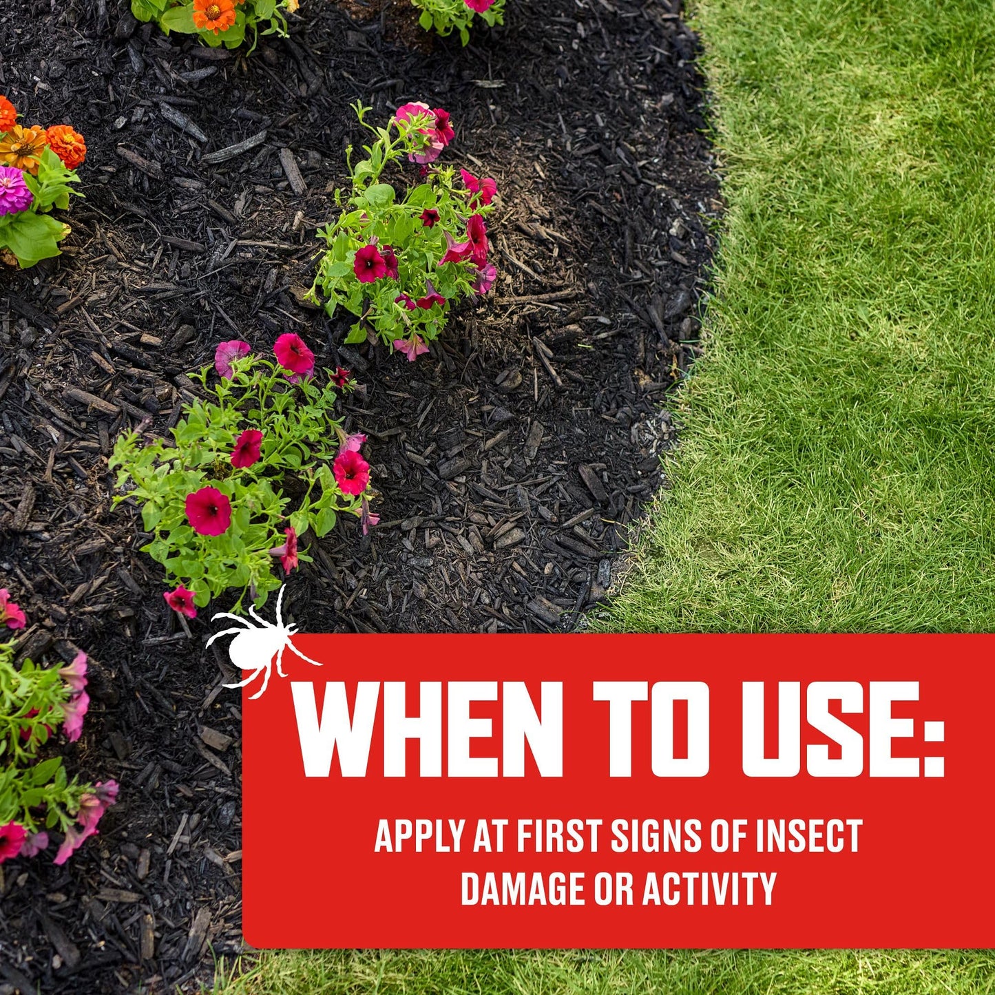 Ortho BugClear Lawn Insect Killer1 - Lawn Bug Killer Granules, Kills Ants, Spiders, Ticks, Fleas, & Grubs, Treats up to 16,500 sq. ft., 10 lb.