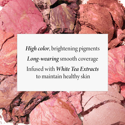 LAURA GELLER NEW YORK Baked Blush-n-Brighten Marbleized Blush for Cheeks - Natural Finish - Buildable Color (103 Tropic Hues)
