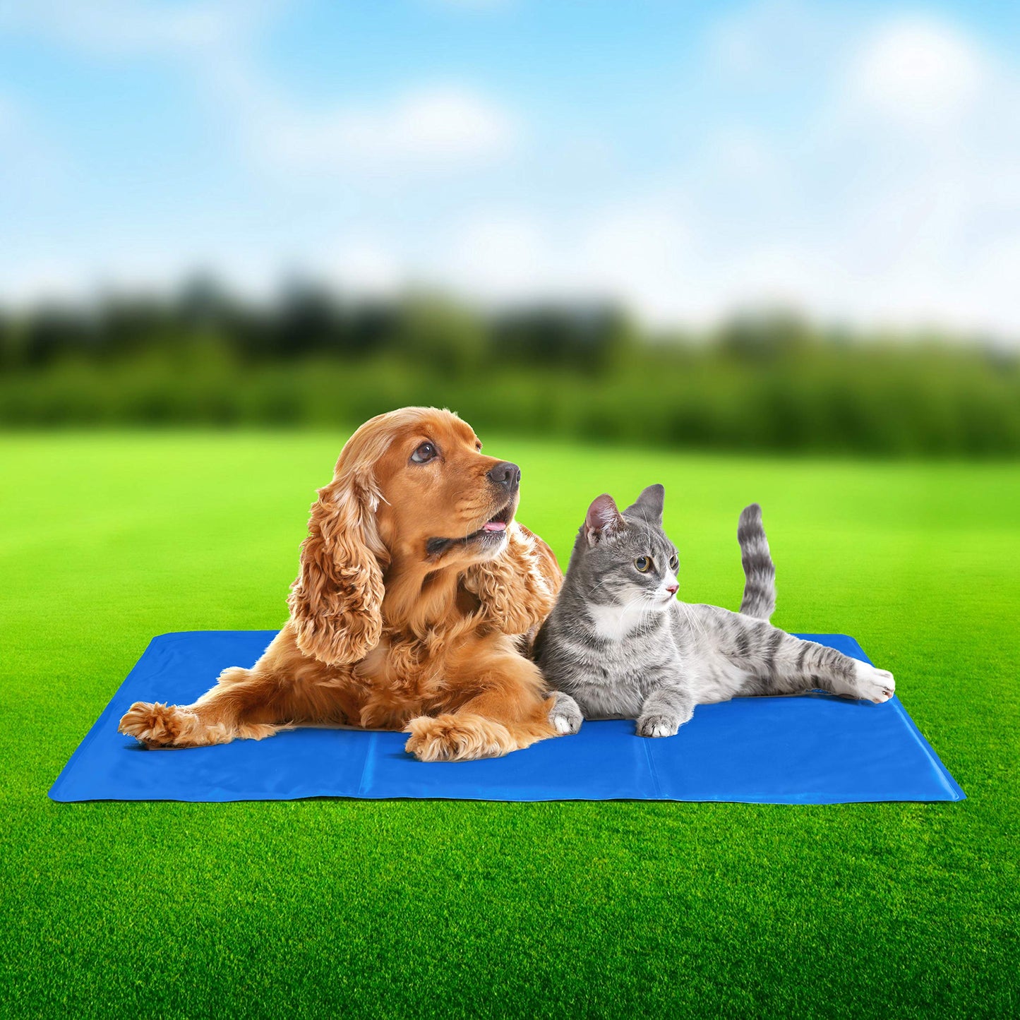 Vivo Technologies Hello Summer Dog Cooling Mat - Durable Pet Cool Mat Non-Toxic Gel Self Cooling Pad, Great for Dogs Cats in Hot Summer - Large 60 X 90cm