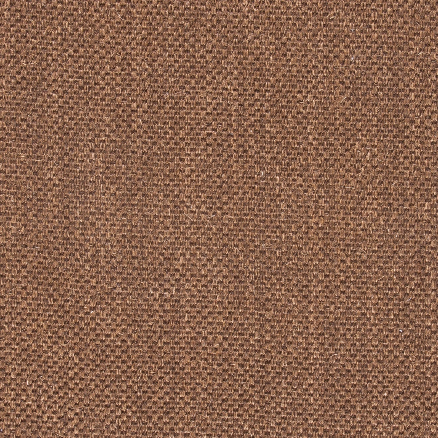 SAFAVIEH Area Rug 4x6 - Natural Fiber Collection - Brown, Sisal, Woven Design with Border (NF443D)