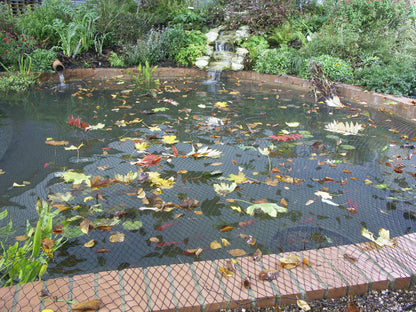 Blagdon 1022378 Clearview Pond Cover Netting, Strong Double Weave, Black, Fine, with 6 Fixing Pegs, Net Size 3m x 2m (10’ x 6’ 6”), Protects Pond