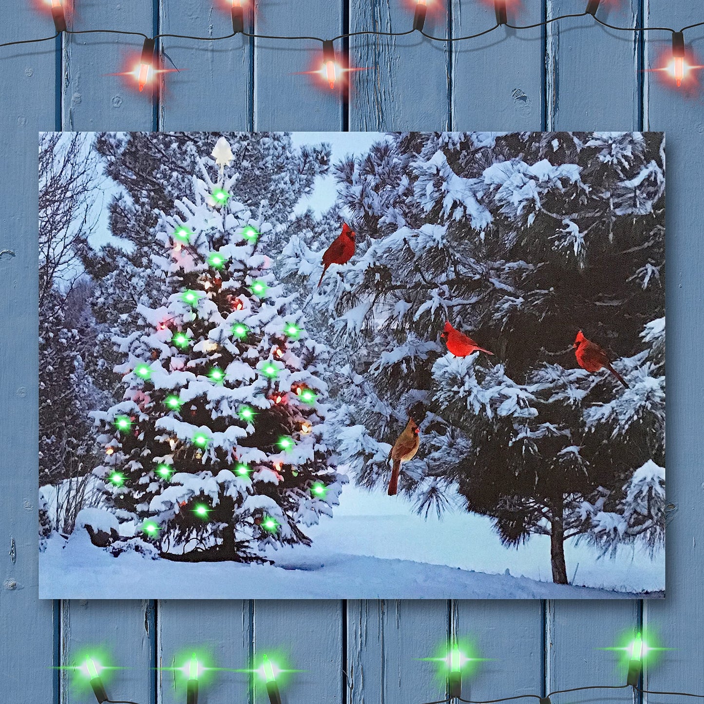 Lighted Christmas Tree & Cardinal Birds LED Canvas Print - Snowy Winter - Forest Pine Trees - Winter Scene Wall Art Measures 15.75" X 11.75"