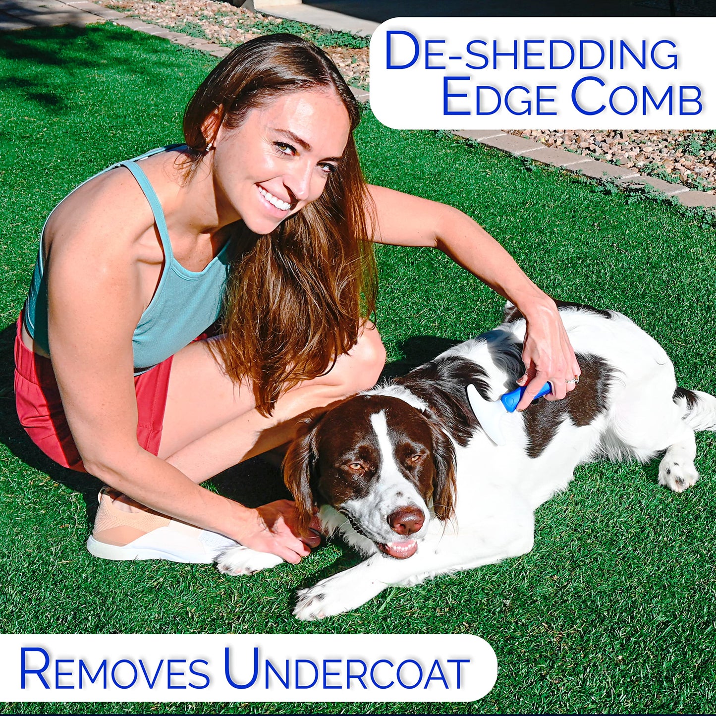 Horicon Pet 6 In 1 Premium Dog Brush Set - Dog Grooming Brushes - Ball Pin & Bristle Brush, Curved Blade Dematting Comb, Slicker Brush, Deshedding Edge Comb, Detangling Pet Comb