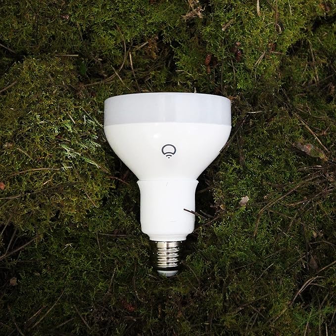 BR30 Smart Light