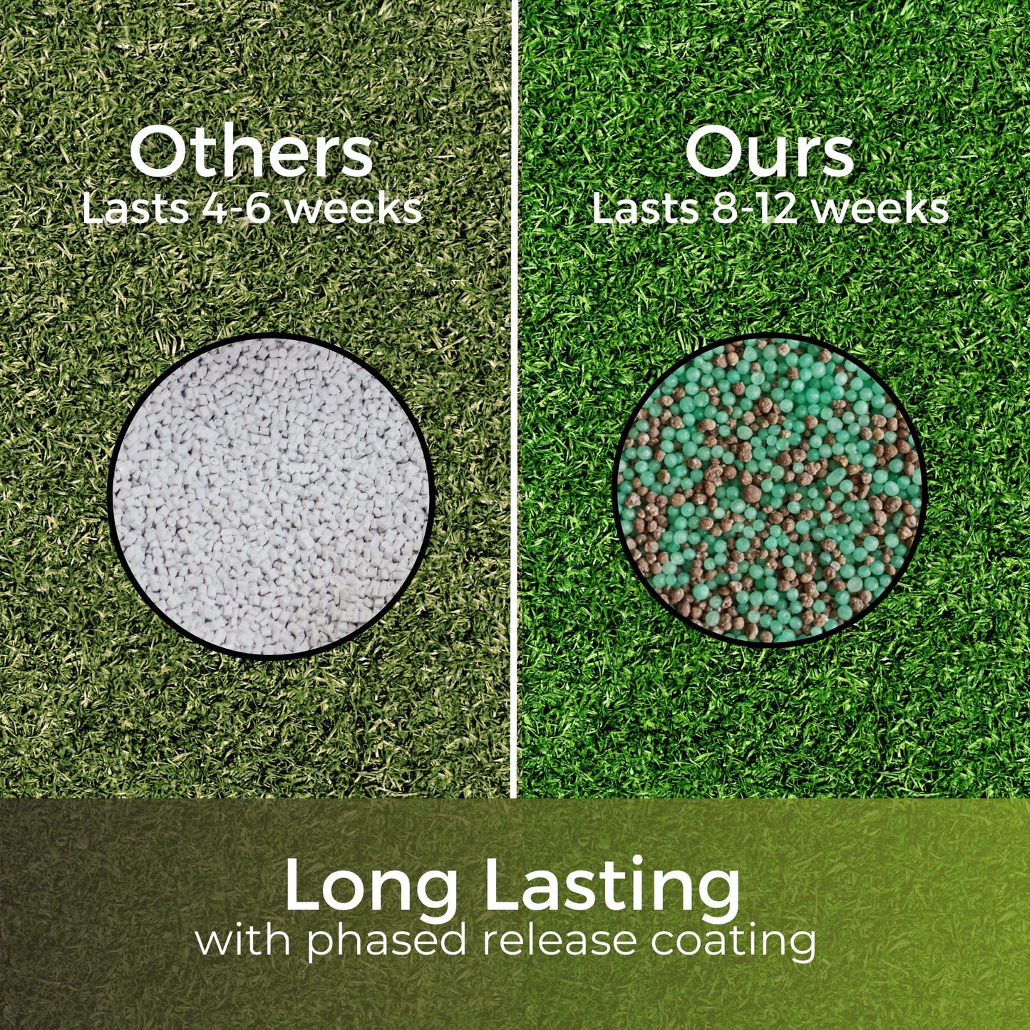 Dark Green Lawn Fertiliser - Autumn/Winter Grass Feed - Fast Acting & Long Lasting - Safe for Gardens - Child and Pet Friendly Turf Thickener - Garden Lawncare Guy