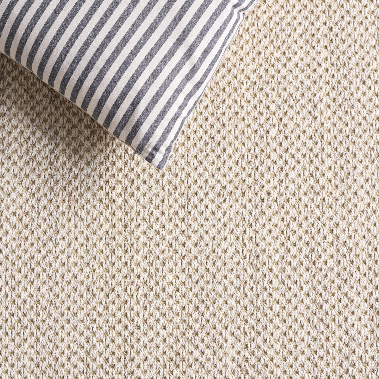 SAFAVIEH Area Rug 5x8 - Natural Fiber Collection - Marble & Beige, Sisal, Woven Design with Border (NF143C)
