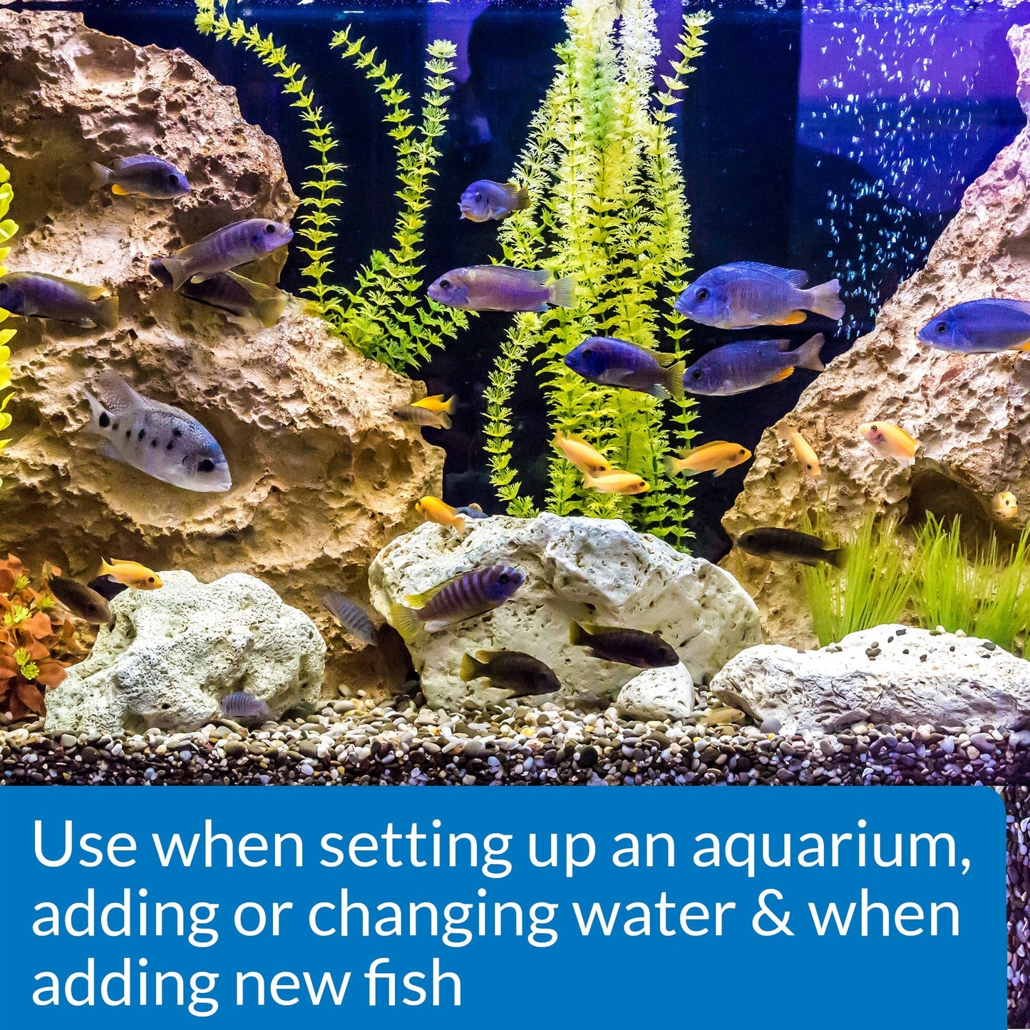 API Stress Coat Aquarium Water Conditioner, Fish , 473 ml Bottle