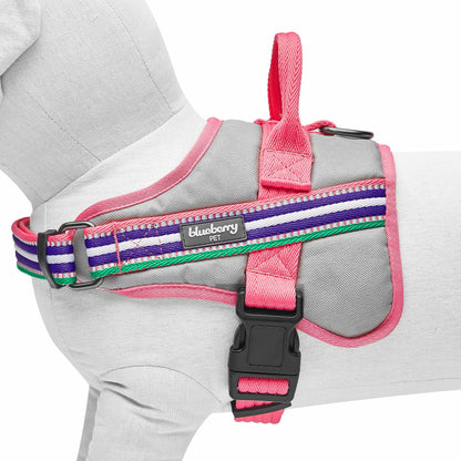 Blueberry Pet Soft 3M Reflective Dog Harness Vest | Mesh Padded No-Pull Harness with Back Clips | Multicolor Stripe in Pink, Emerald and Orchid| Adjustable for Large Dogs