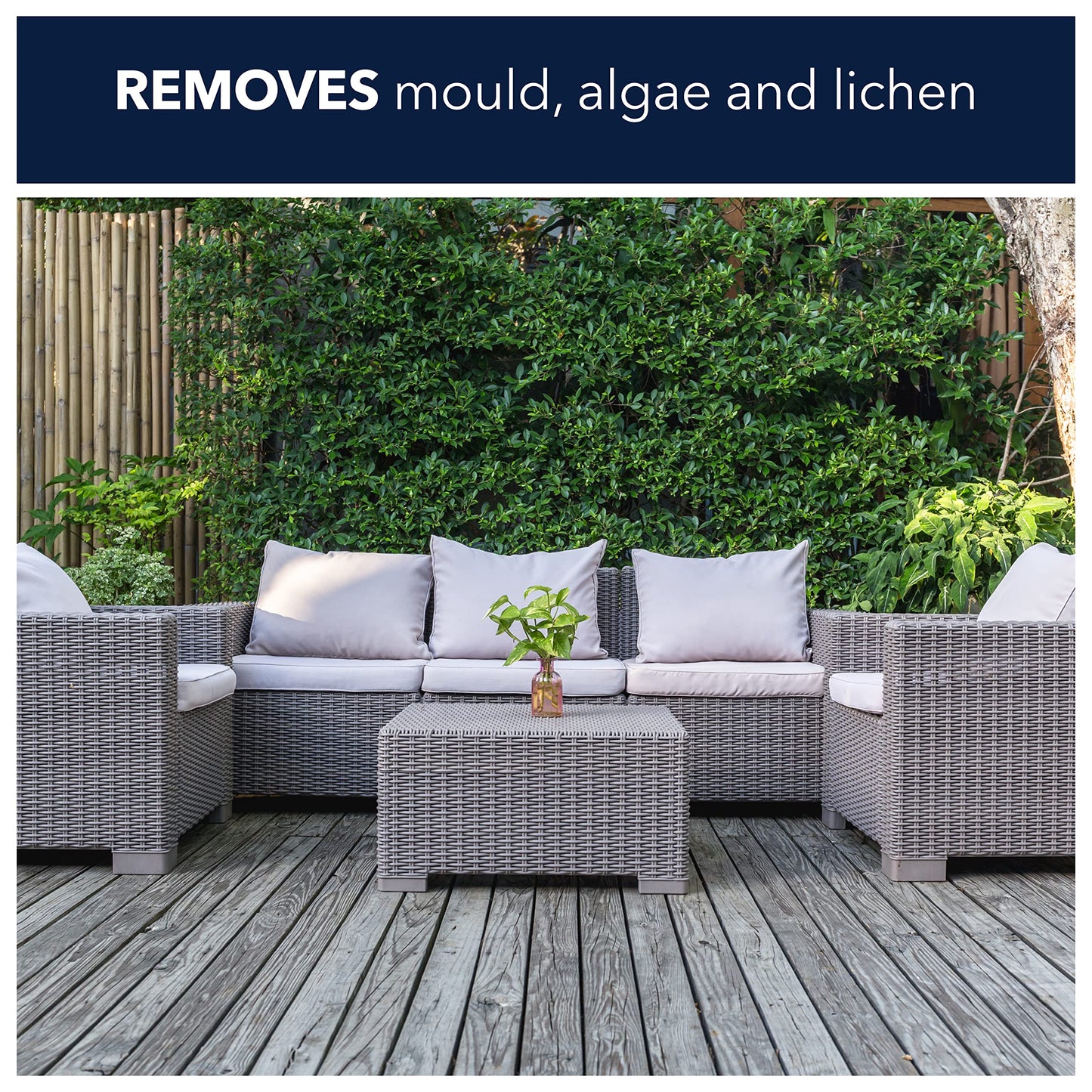 Spear and Jackson - Spray and Leave Concentrate 2 x 5 Litres - Kills Mould, Algae & Lichen From All Exterior Surfaces